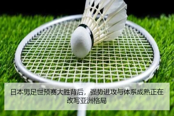 img_1780124174628_5_2_907.jpg